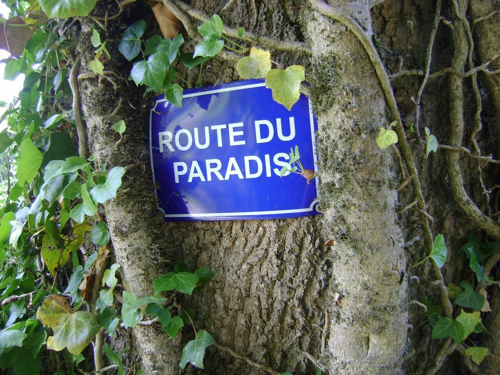 Gite Les Mineurs Zottegem Exteriör bild