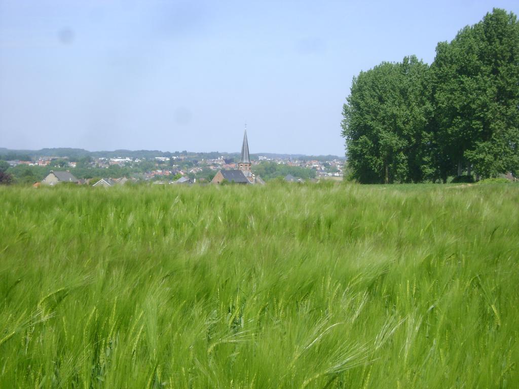 Gite Les Mineurs Zottegem Exteriör bild